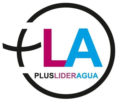 Plus Lideragua logo